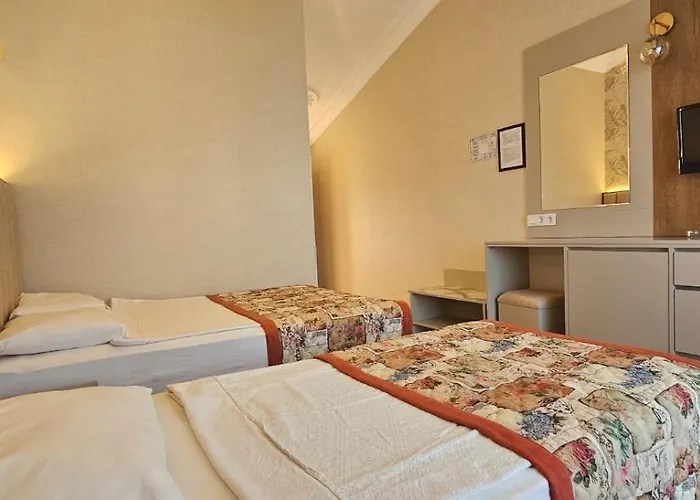 公寓式酒店 Gazipasa Star