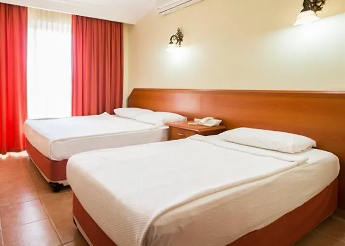 アパートホテル Gazipasa Star シダ