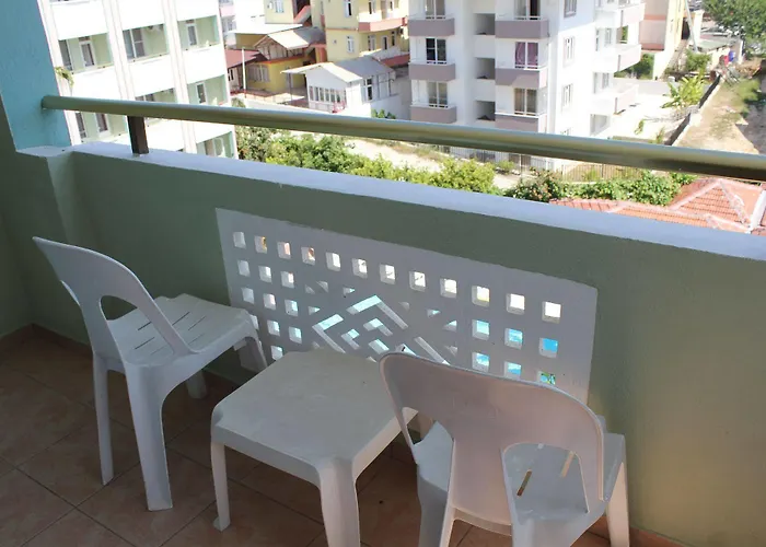 Gazipasa Star シダ